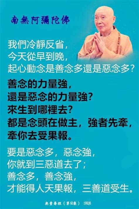 善念的力量|善念為涅槃之道 錄自《聖道修行》 坦尼沙羅比丘 原著 鄭振煌。